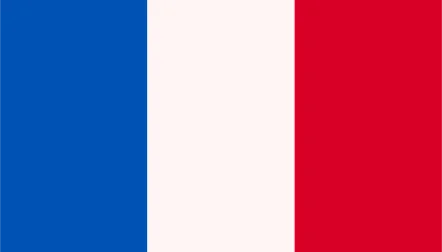 icon-FR-flag